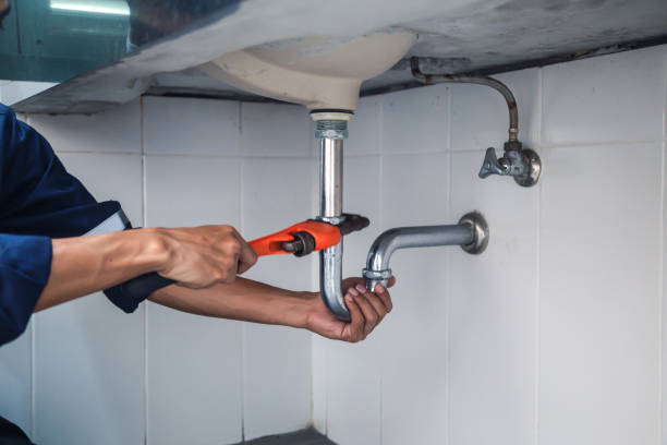 Best Clogged Drain Plumber  in Lewistown, IL
